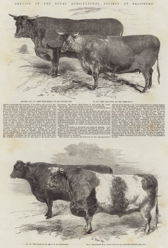 Möte för Royal Agricultural Society i Salisbury av Harrison William Weir
