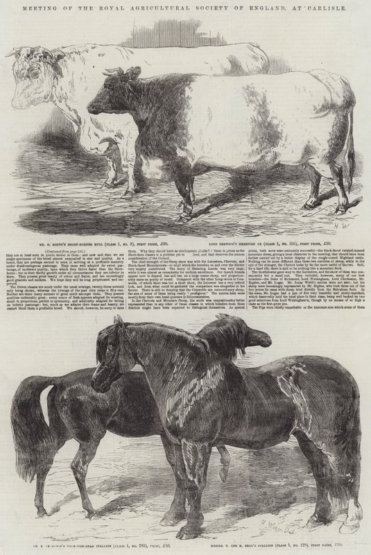 Möte för Royal Agricultural Society of England, Carlisle av Harrison William Weir