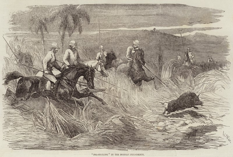 Grisstickning i Bombays presidentskap av Harrison William Weir