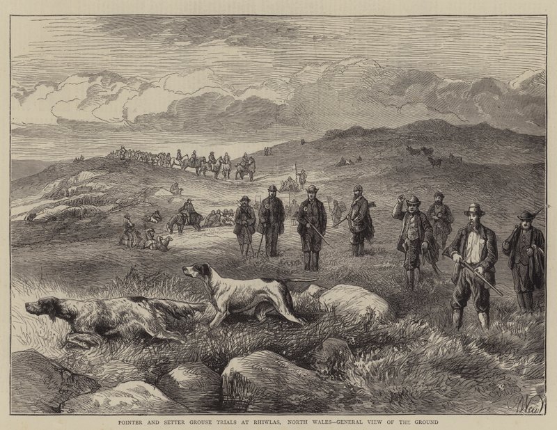 Pointer och Setter Grouse Trials vid Rhiwlas, North Wales, General View of the Ground av Harrison William Weir