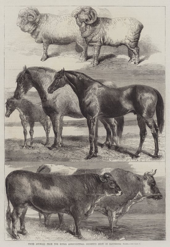 Prisdjur från Royal Agricultural Society