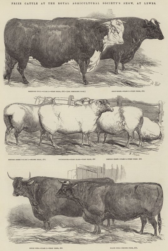 Prisboskap på Royal Agricultural Society