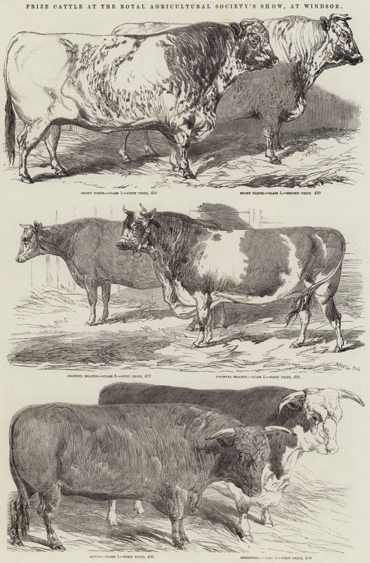 Prisboskap på Royal Agricultural Society