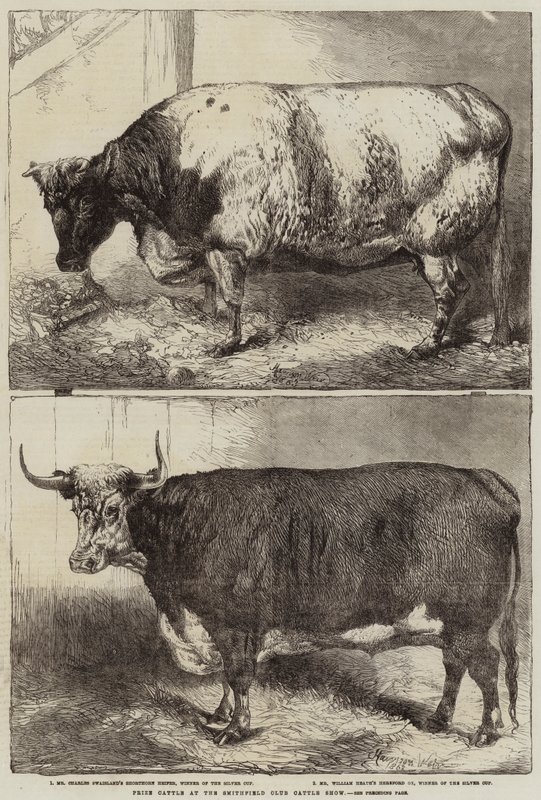 Prisboskap på Smithfield Club Cattle Show av Harrison William Weir