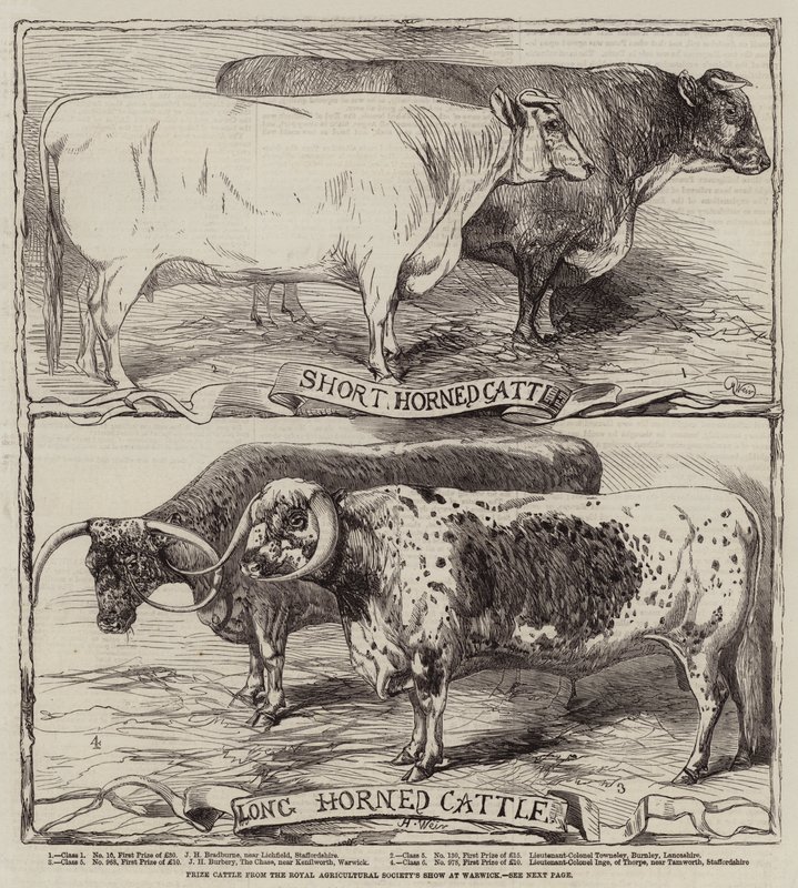 Prisboskap från Royal Agricultural Society