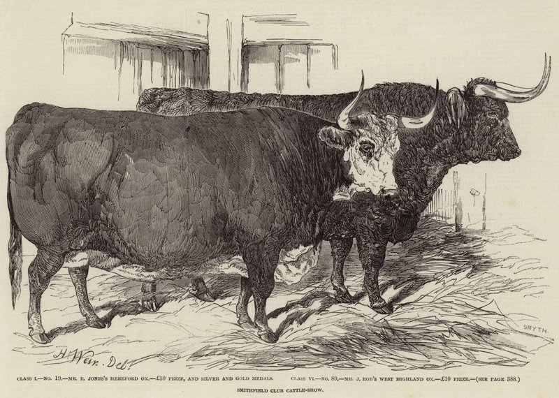 Smithfield Club Cattle-Show av Harrison William Weir