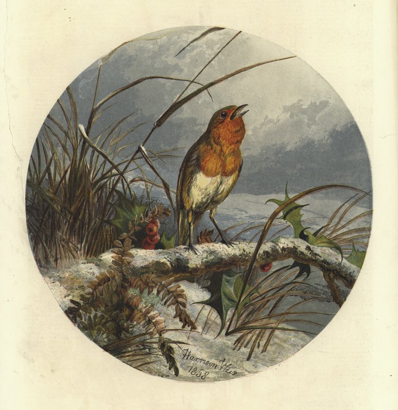 Christmas Carol Singer av Harrison William Weir
