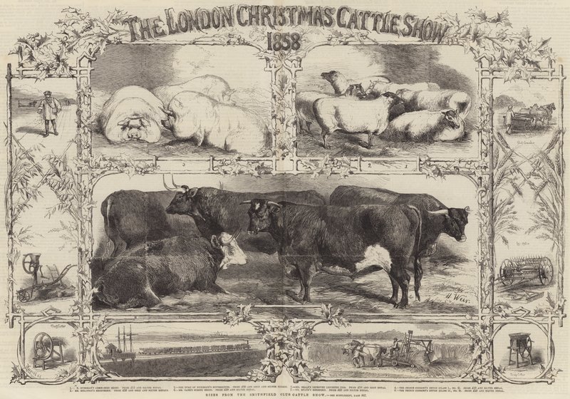 London Christmas Cattle Show 1858 av Harrison William Weir