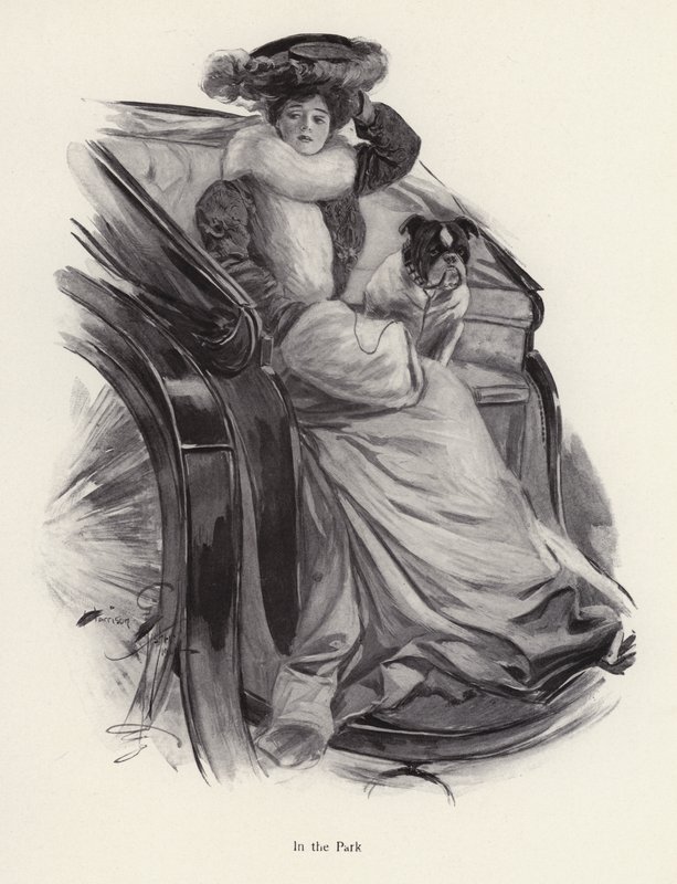 Kvinna som sitter i en vagn med sin hund (litho) av Harrison Fisher