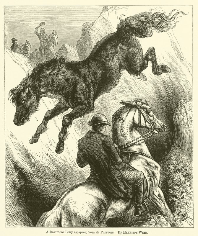 En Dartmoor-ponny flyr från sina förföljare av Harrison William Weir