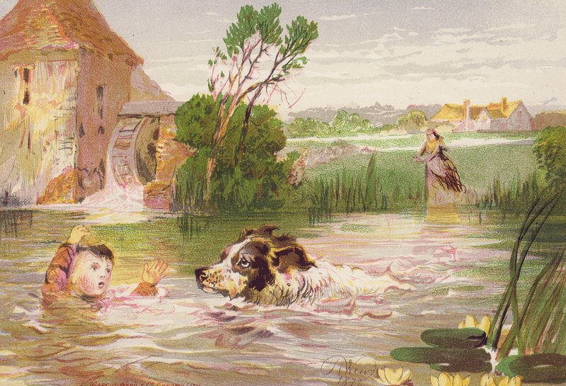 Hund räddar Charleys liv (färglitografi) av Harrison William Weir