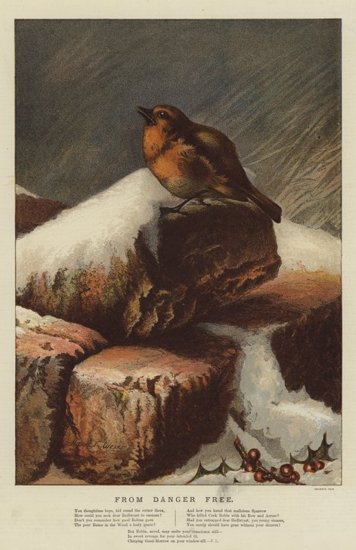 Från Danger Free (chromolitho) av Harrison William Weir