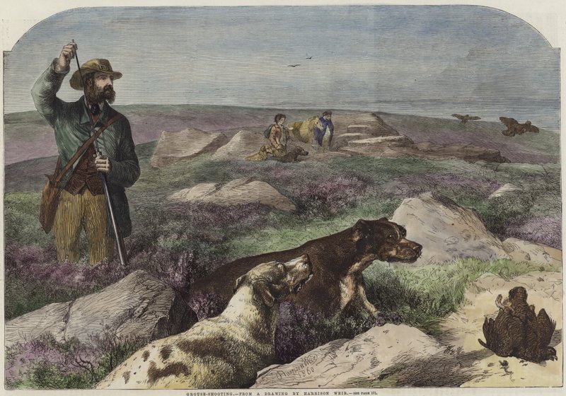 Skjutning av lund av Harrison William Weir