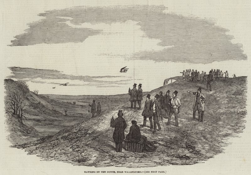 Hawking on the Downs, nära Wallingford av Harrison William Weir