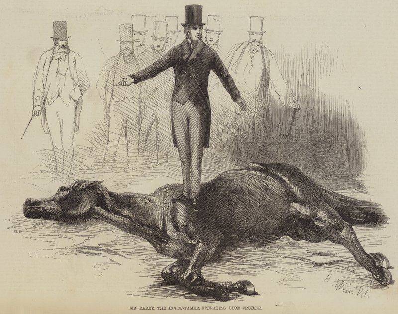 Mr Rarey, the Horse-Tamer, operating upon Cruiser  av Harrison William Weir