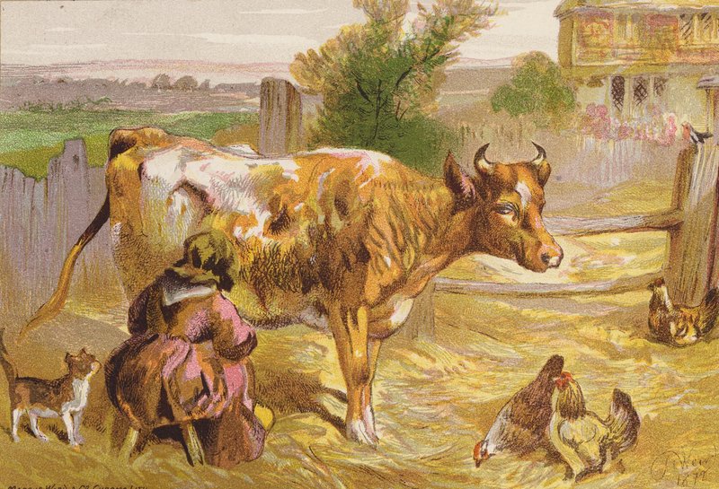 Gamla Nancy mjölkar kon (färglitografi) av Harrison William Weir