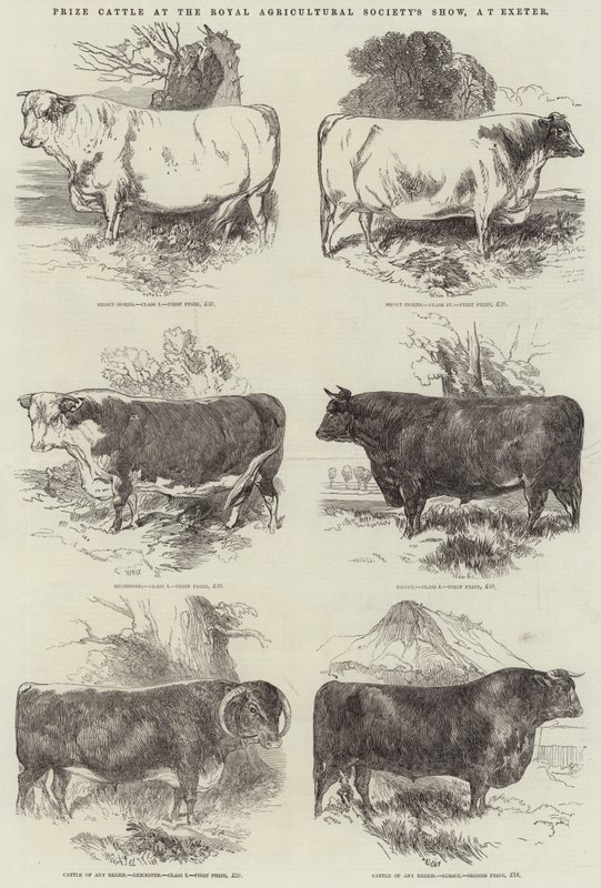 Prisboskap på Royal Agricultural Society