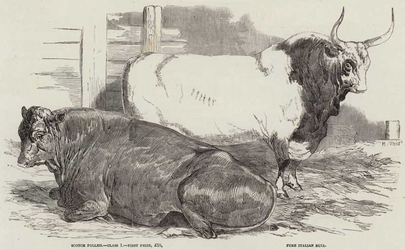 Prisboskap på Royal Agricultural Society