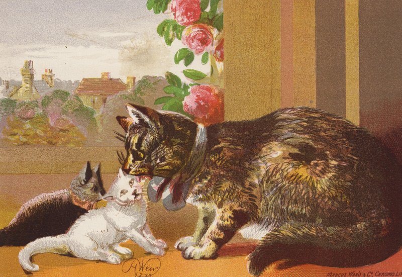 Mästerkatten och hennes kattungar (färglitografi) av Harrison William Weir