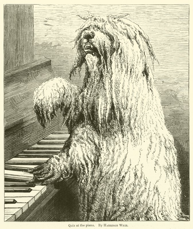 Frågesport vid pianot av Harrison William Weir
