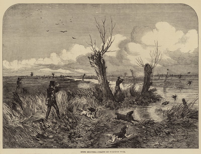 Snipe skytte av Harrison William Weir