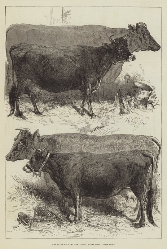 Mejeriutställningen på Lantbrukshallen, Priskor av Harrison William Weir