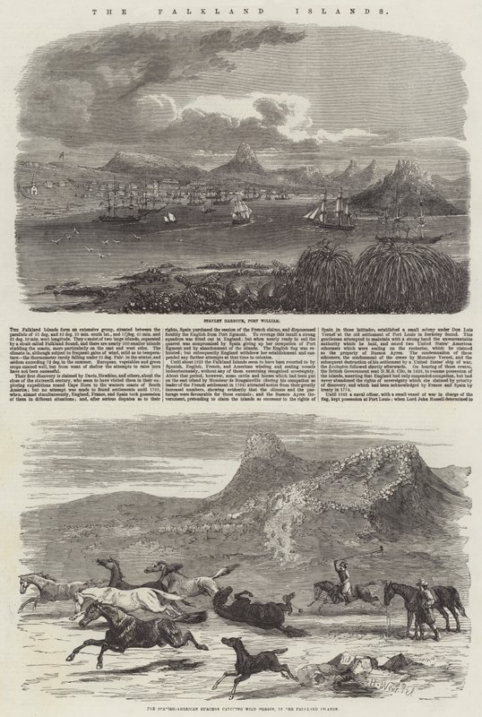 Falklandsöarna av Harrison William Weir