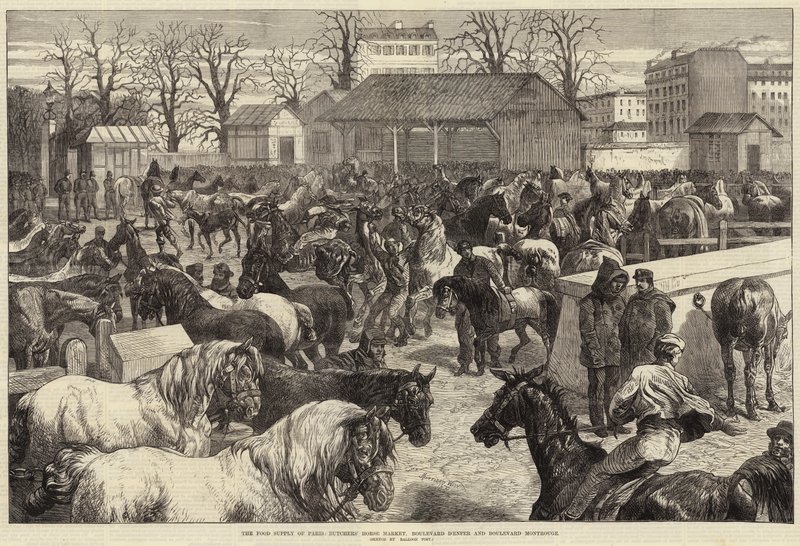 Matförsörjningen i Paris, Butchers
