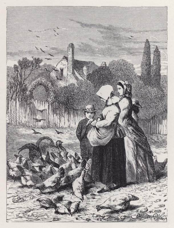 The Poultry Garden (gravyr) av Harrison William Weir