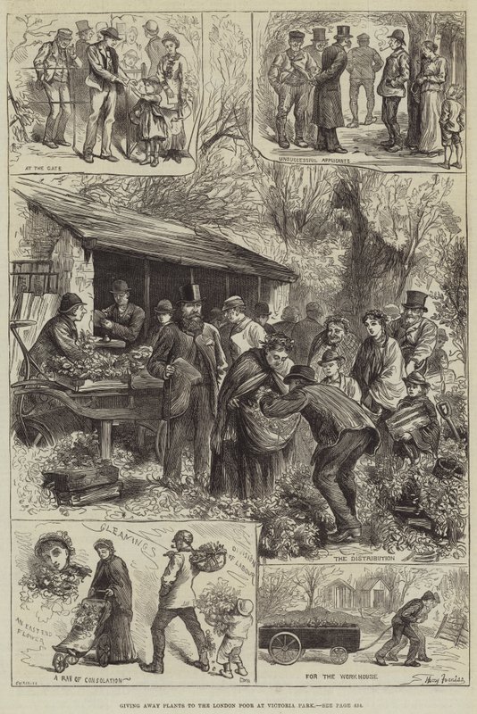 Ge bort växter till de fattiga i London i Victoria Park av Harry Furniss