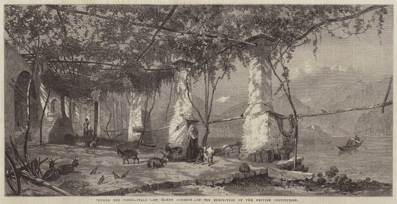 Under vinrankorna, Italien av Harry John Johnson