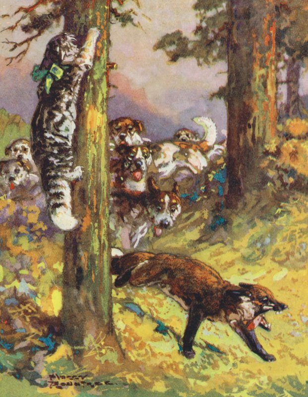 Aesops fabler: Katten och räven (färglitografi) av Harry (1878 1950) Rountree