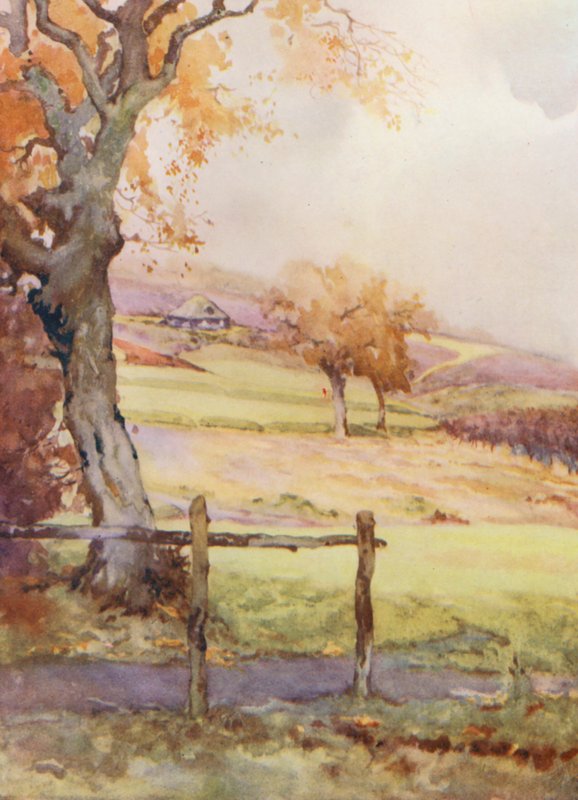 Golfbanor: Broadstone, det fjärde hålet (färglitografi) av Harry (1878 1950) Rountree