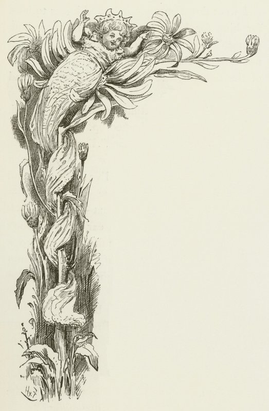 Illustration för Sylvie och Bruno av Lewis Carroll av Harry Furniss