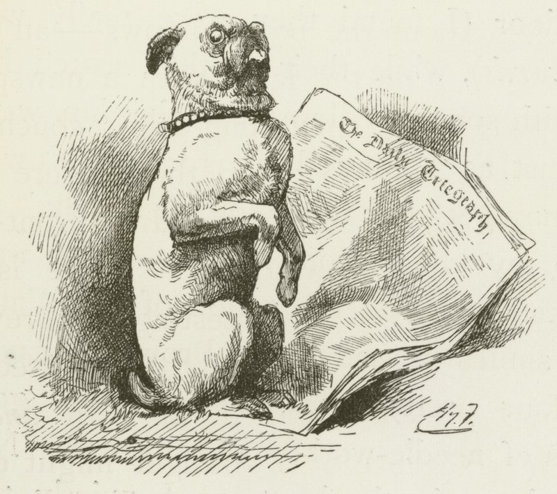 Illustration för Sylvie och Bruno av Lewis Carroll av Harry Furniss