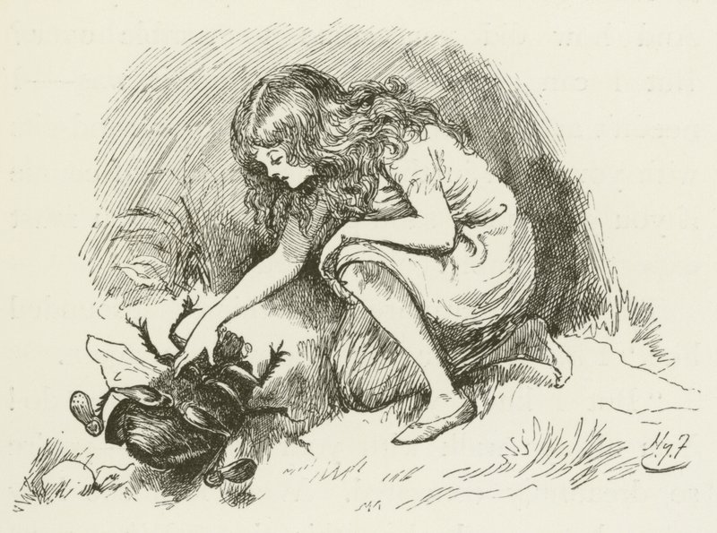 Illustration för Sylvie och Bruno av Lewis Carroll av Harry Furniss