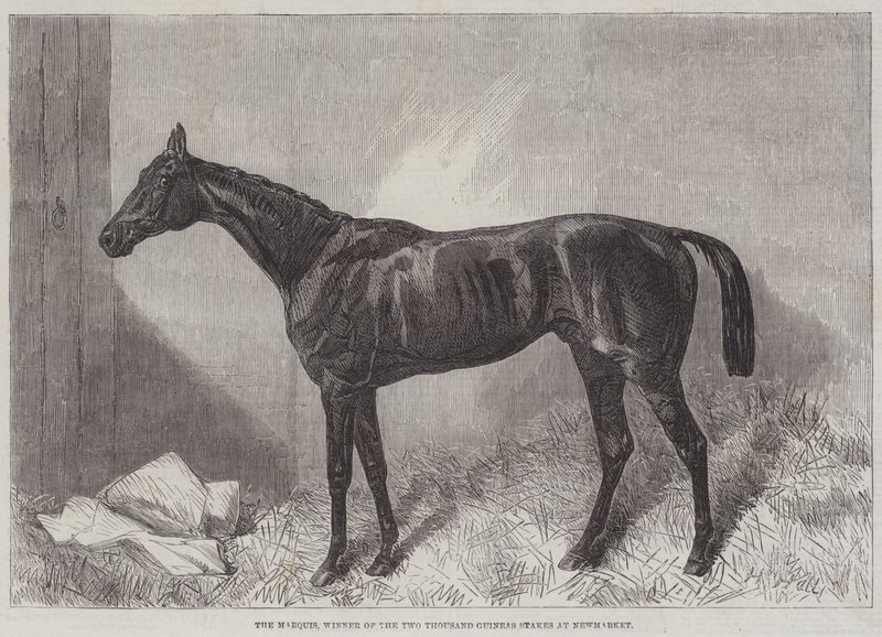 Markisen, vinnare av Two Thousand Guineas Stakes på Newmarket av Harry Hall