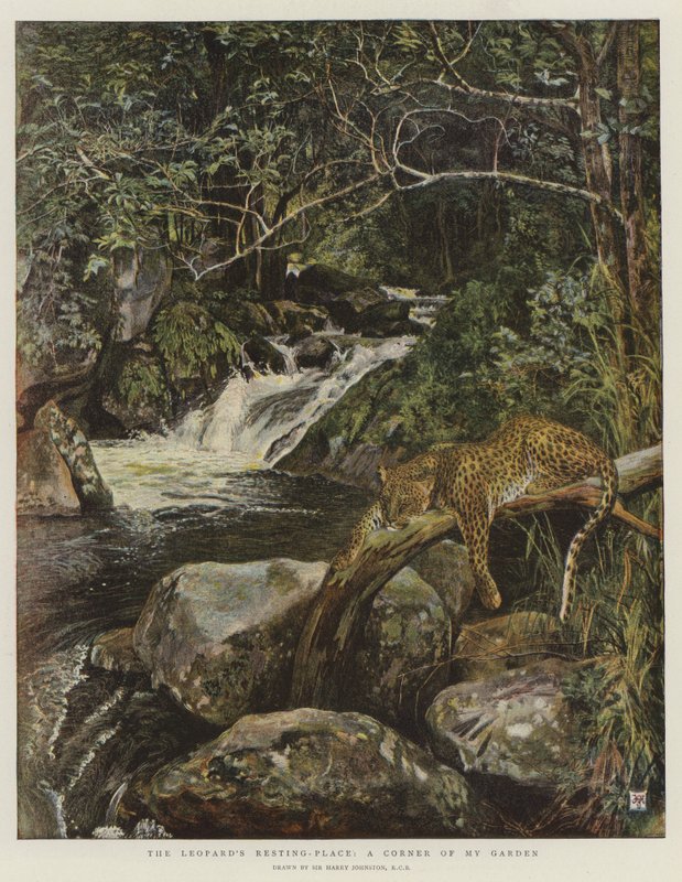 Leopardens viloplats, ett hörn av min trädgård (chromolitho) av Harry Hamilton Johnston