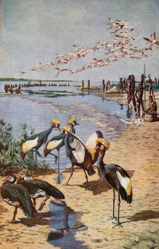 The Northern Shores of Lake Chad, sett av Denham 1822 av Harry Hamilton Johnston