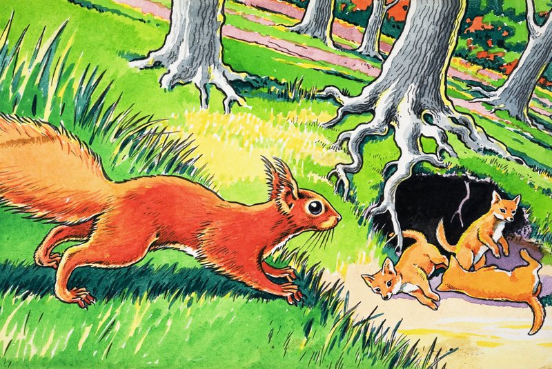 Lilla röda ekorren av Harry M. Pettit