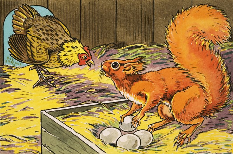 Lilla röda ekorren av Harry M. Pettit