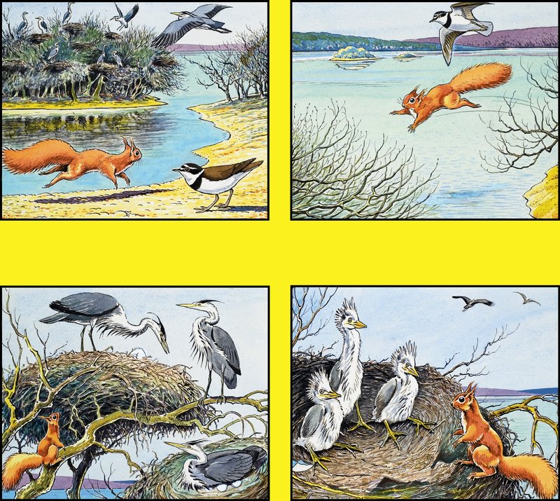 Lilla röda ekorren av Harry M. Pettit