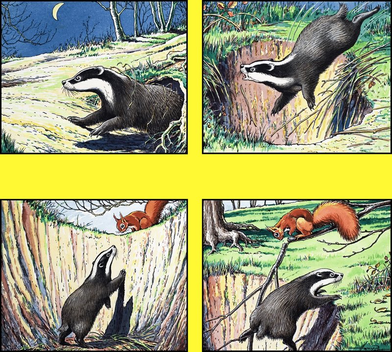 Den lilla röda ekorren av Harry M. Pettit
