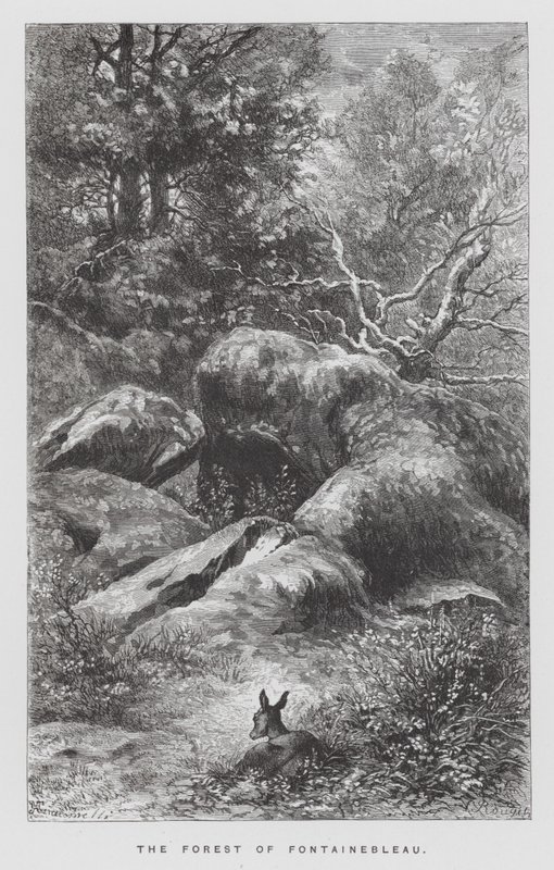 Insekten: Fontainebleaus skog (gravyr) av Hector Giacomelli