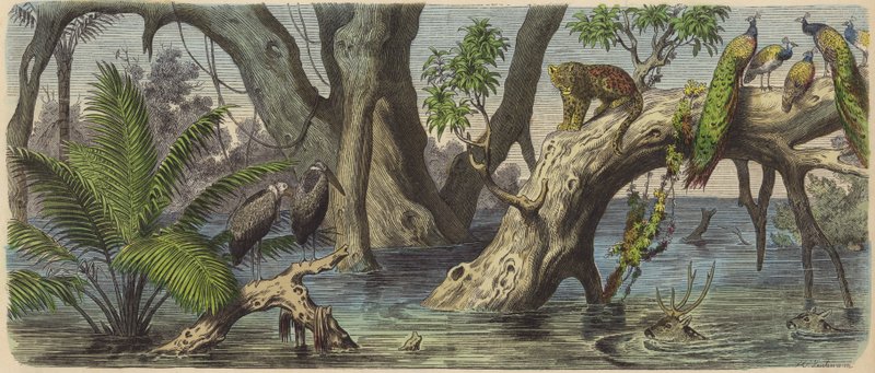 Översvämning i östra Indien (färgad gravyr) av Heinrich Leutemann