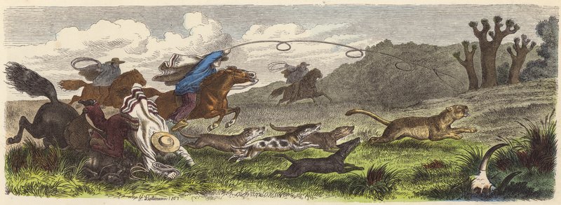 Jagar puma med lassos i Brasilien (färgad gravyr) av Heinrich Leutemann