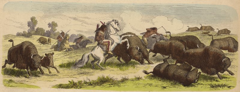 Indianer till häst som jagar buffel (färgad gravyr) av Heinrich Leutemann