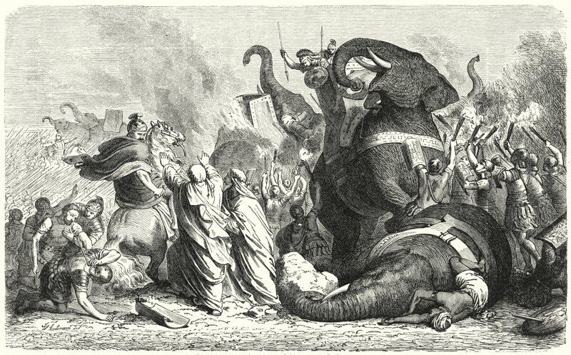Slaget vid Asculum, 279 f.Kr. (gravyr) av Heinrich Leutemann