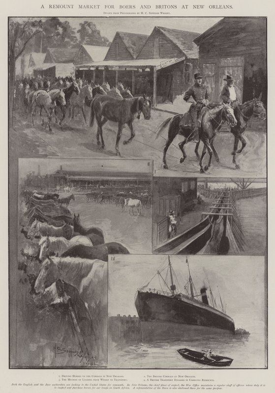 En remountmarknad för boer och britter i New Orleans av Henry Charles Seppings Wright