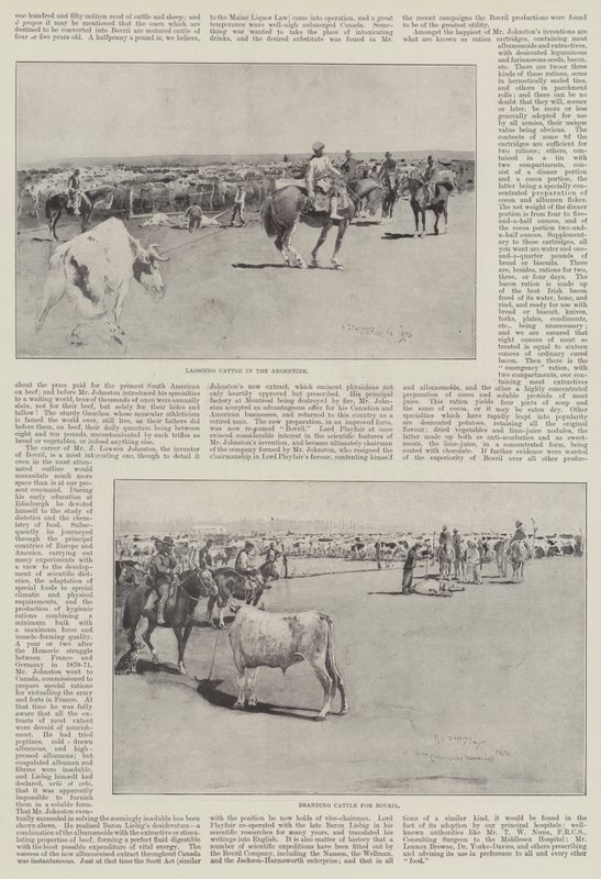 Boskap i Argentina av Henry Charles Seppings Wright